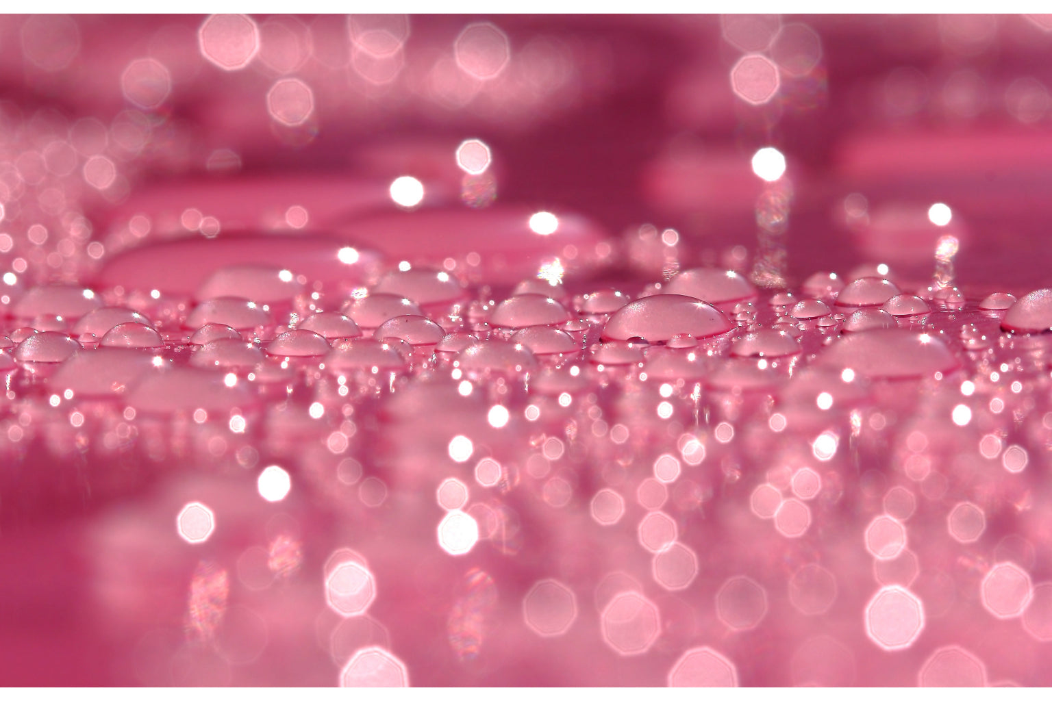 Abstract Bubbles Pink Modern Canvas Art Wall Picture Or Gloss Print