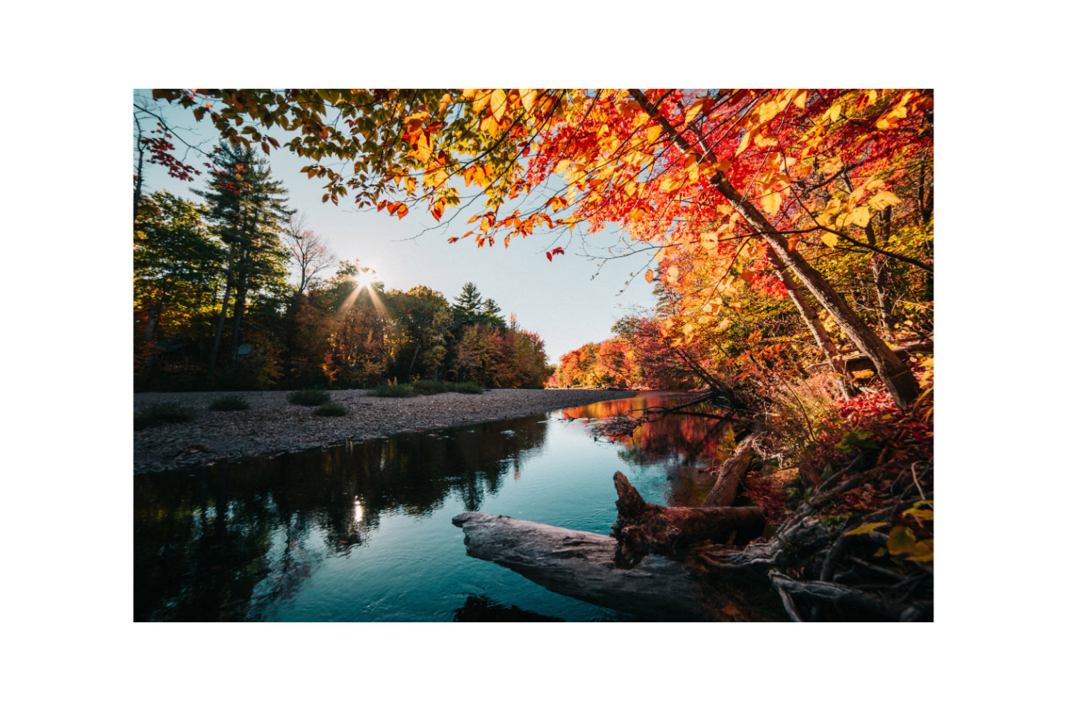 Autumn River Woods Trees Canvas Art Wall Picture Or Gloss Print