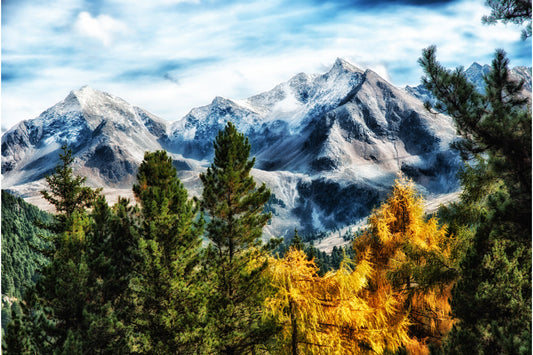 Autumn Tree Snow Mountain Landscape Canvas Art Wall Picture Or Gloss Print