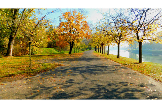 Autumn Trees Green Landscape Canvas Art Wall Picture Or Gloss Print