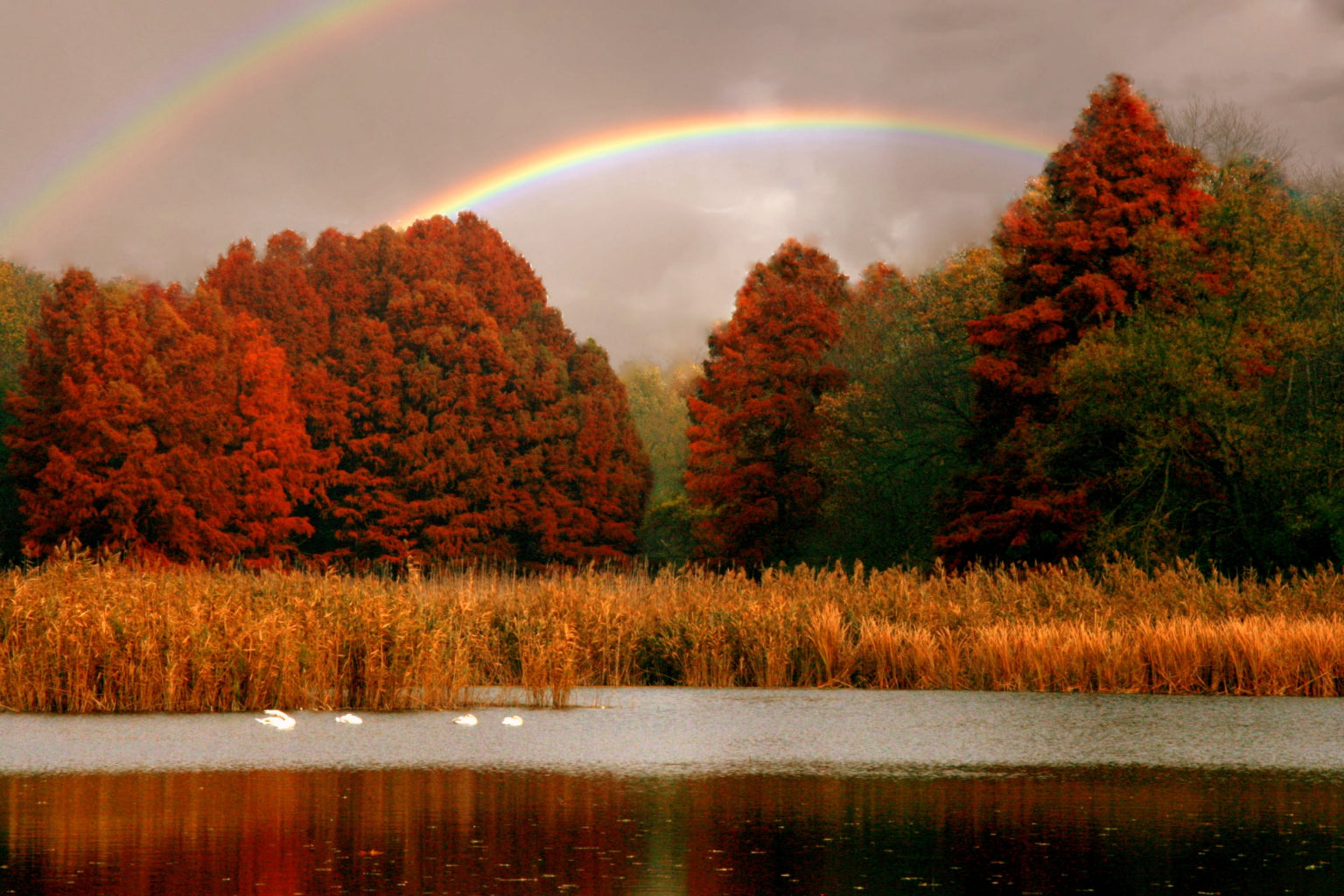 Autumn Trees Lake Rainbow Landscape Canvas Art Wall Picture Or Gloss Print