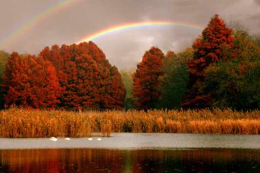 Autumn Trees Lake Rainbow Landscape Canvas Art Wall Picture Or Gloss Print