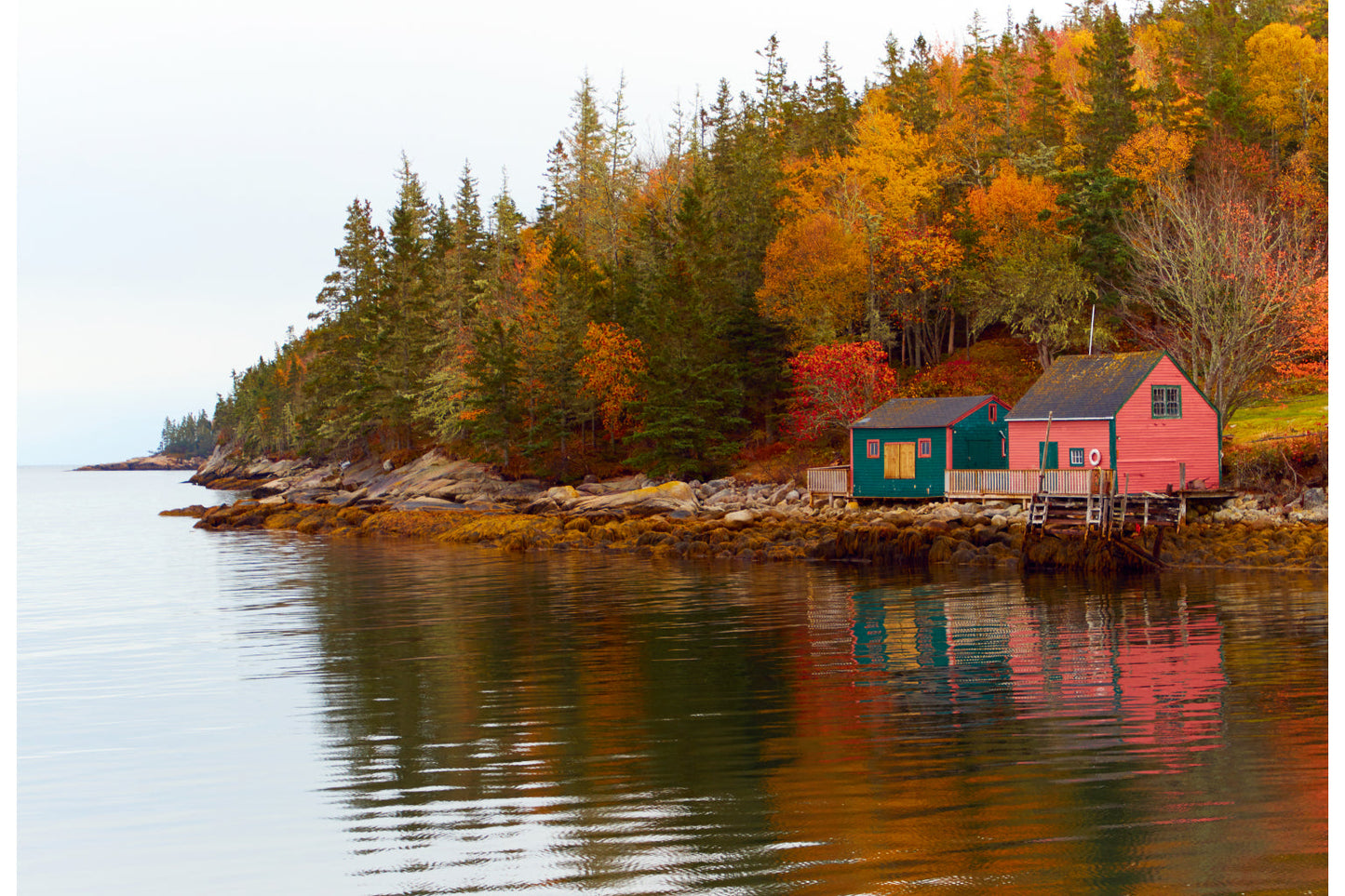 Autumn Trees Lake River Woods Canvas Art Wall Picture Or Gloss Print