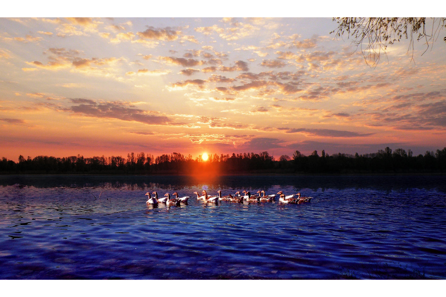 Birds Lake Sunset Blue Orange Landscape Canvas Art Wall Picture Or Gloss Print