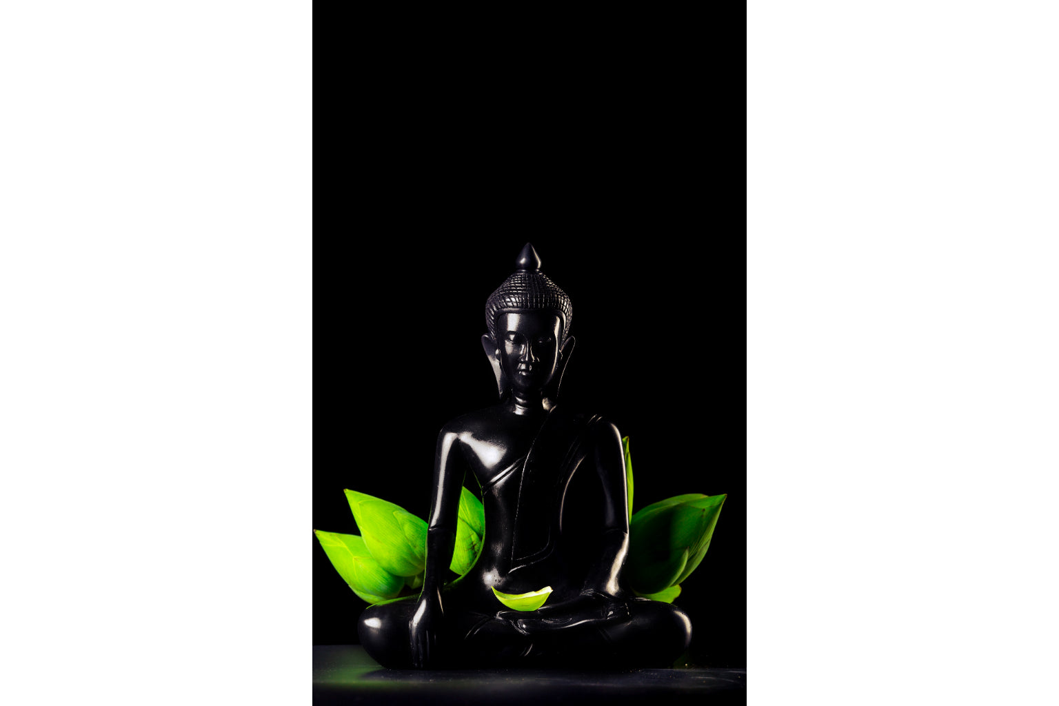 Black Buddha Green Leaves Budhist Canvas Art Wall Picture Or Gloss Print