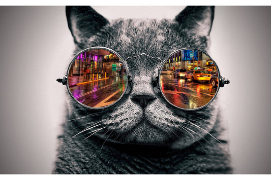 Black White Cat Animal Sunglasses Canvas Art Wall Picture Or Gloss Print