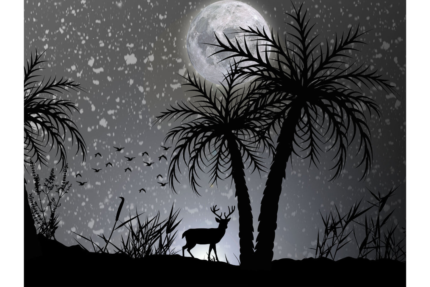 Black White Grey Moon Planet Deer Palm Tree Canvas Art Wall Picture Or Gloss Print