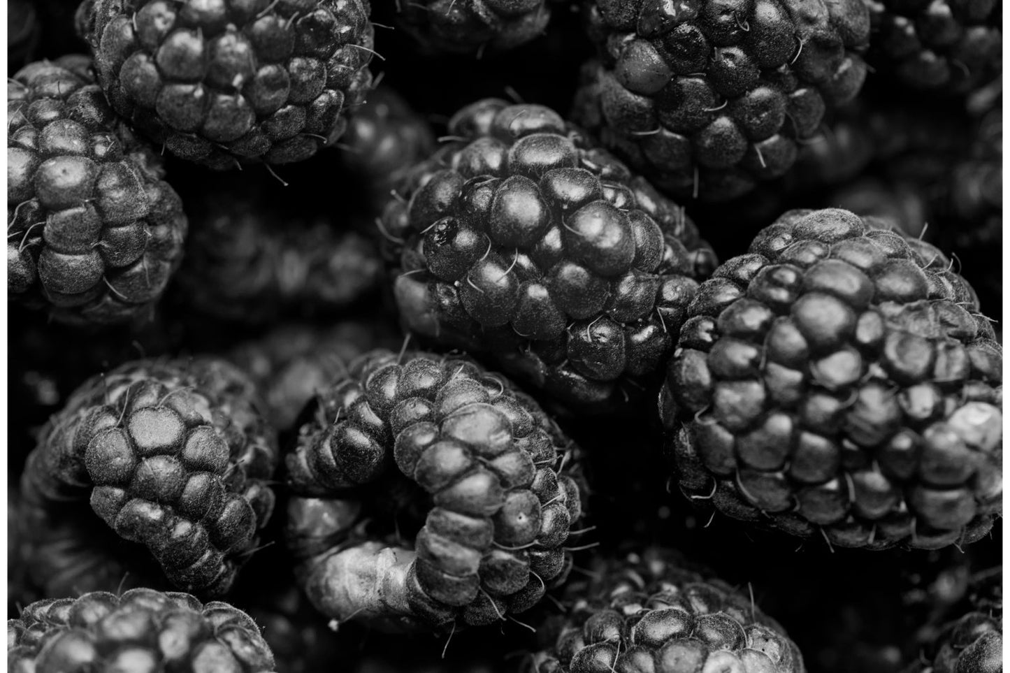 Black White Grey Raspberries Kitchen Canvas Art Wall Picture Or Gloss Print