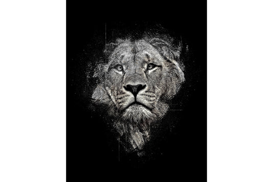 Black White Lion Abstract Animal Wildlife Canvas Art Wall Picture Or Gloss Print