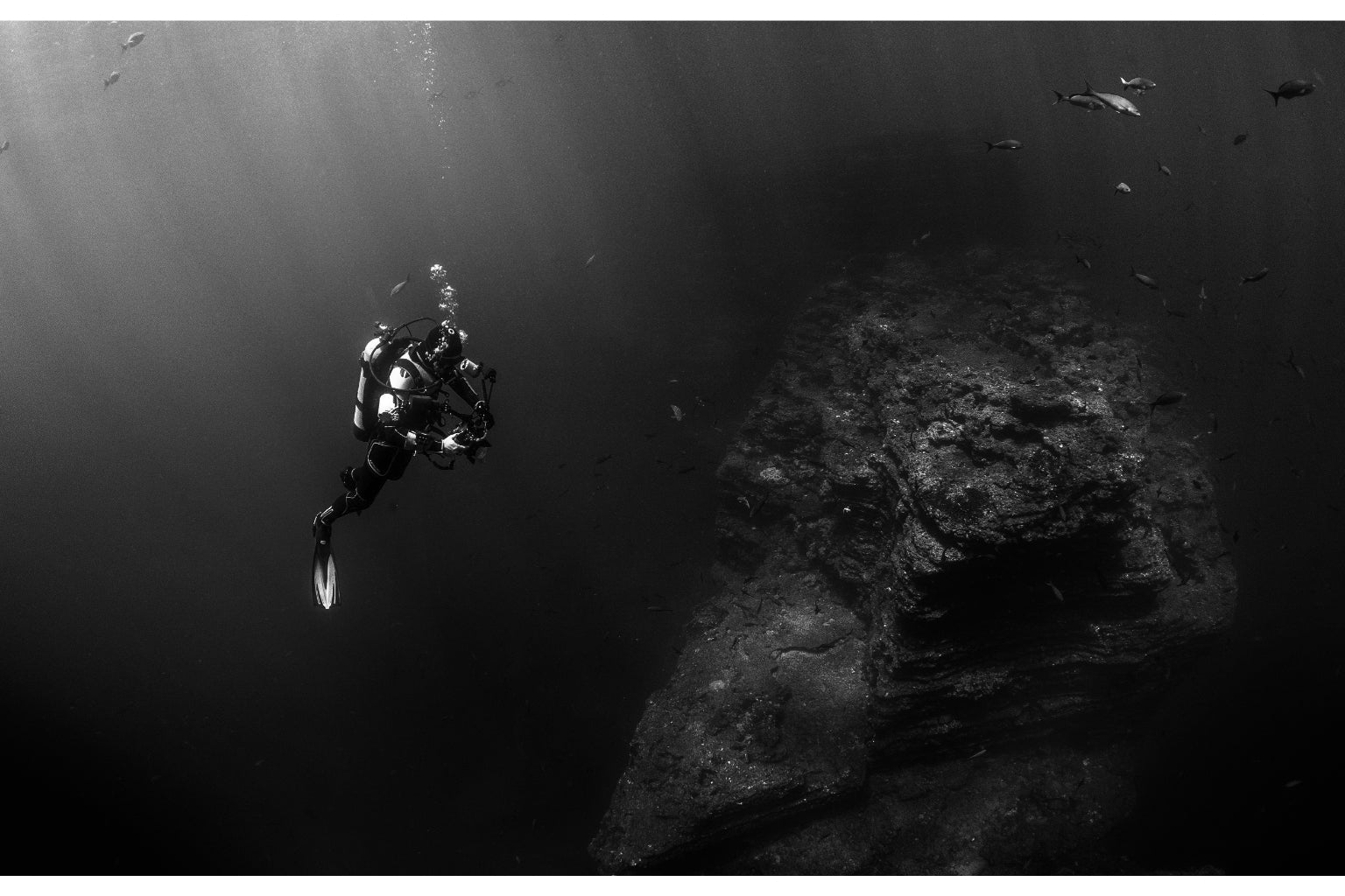 Black White Sea Diver Ocean Diving Canvas Art Wall Picture Or Gloss Print