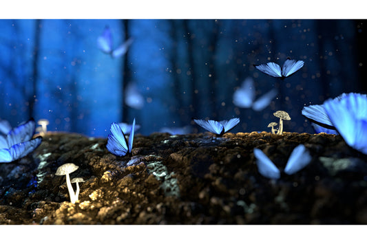 Blue Butterflies Butterfly Landscape Canvas Art Wall Picture Or Gloss Print