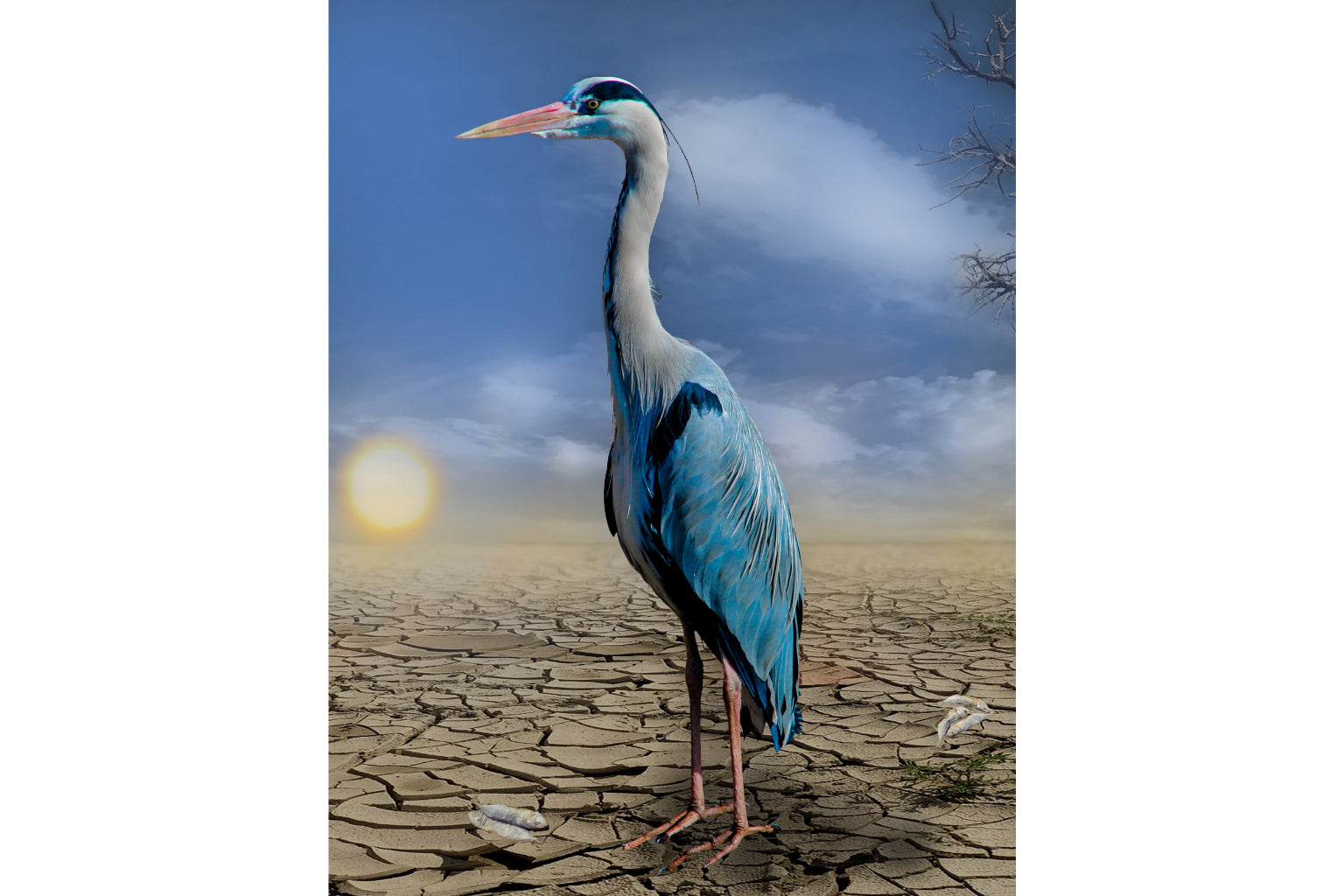 Blue Fantasy Heron Bird Birds Canvas Art Wall Picture Or Gloss Print