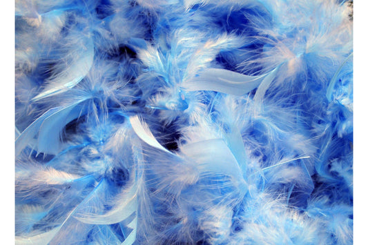 Blue Feathers Abstract Modern Canvas Art Wall Picture Or Gloss Print