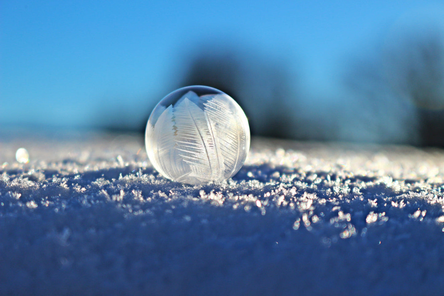 Blue Ice Snow Sphere Canvas Art Wall Picture Or Gloss Print