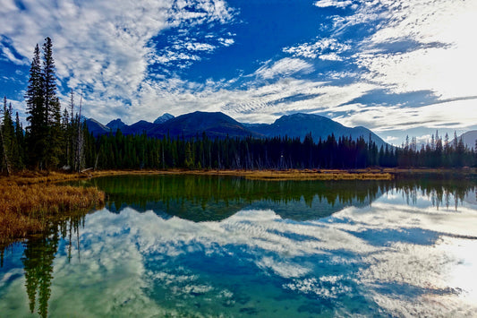 Blue Mountain Lake Trees Landscape Forest Canvas Art Wall Picture Or Gloss Print