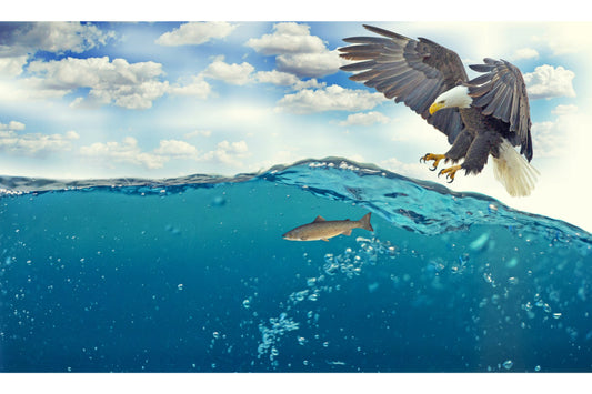 Blue Ocean Wave Fish Eagle Canvas Art Wall Picture Or Gloss Print