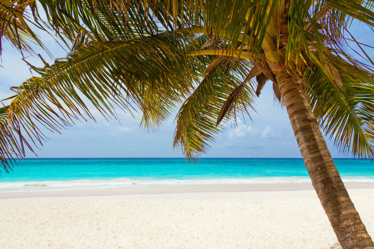 Blue Sea Tropical Beach Palm Tree Canvas Art Wall Picture Or Gloss Print