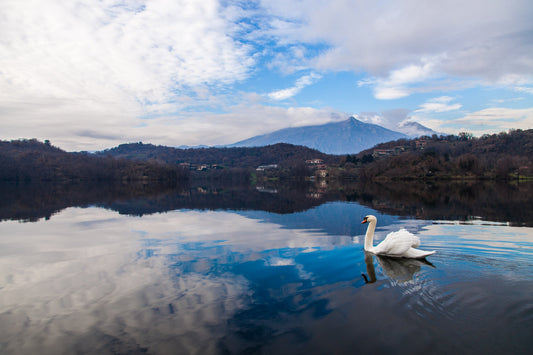 Blue Sky Mountain Swan Lake Landscape Canvas Art Wall Picture Or Gloss Print