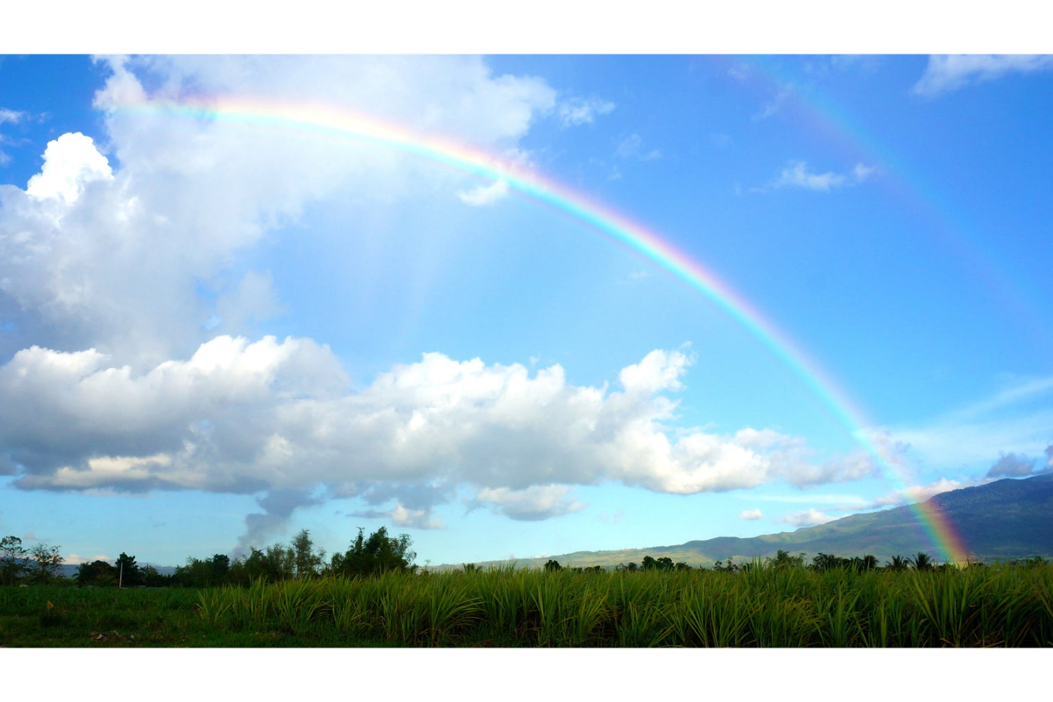 Blue Sky Rainbow Landscape Canvas Art Wall Picture Or Gloss Print