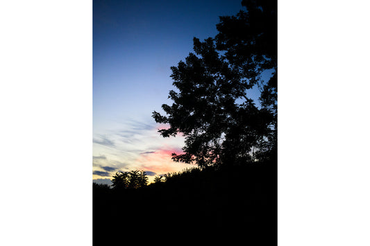 Blue Sunset Sunrise Tree Evening Landscape Canvas Art Wall Picture Or Gloss Print