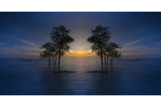 Blue Sunset Trees Sea Canvas Art Wall Picture Or Gloss Print