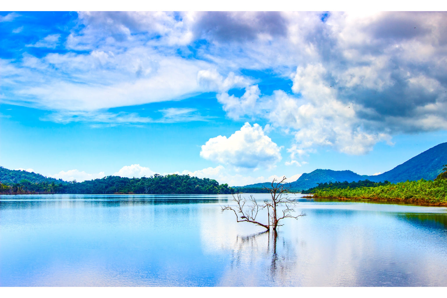 Blue Tree Lake Landscape Mountains Canvas Art Wall Picture Or Gloss Print