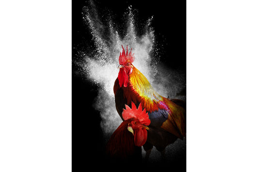 Chicken Bird White Splash Abstract Animal Canvas Art Wall Picture Or Gloss Print