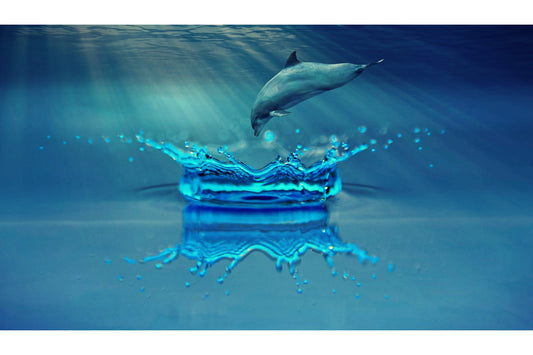 Dolphin Blue Water Drop Ripple Canvas Art Wall Picture Or Gloss Print