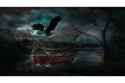 Eagle Bird Boat Nature Fantasy Canvas Art Wall Picture Or Gloss Print