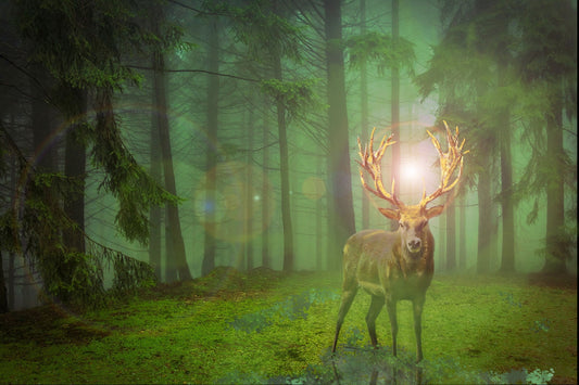 Fantasy Green Woods Deer Animal Trees Canvas Art Wall Picture Or Gloss Print