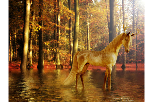 Fantasy Horse Woods Lake Canvas Art Wall Picture Or Gloss Print