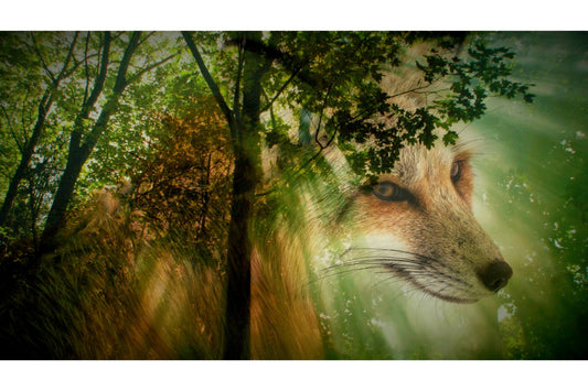 Fox In Green Trees Animal Wildlife Forest Canvas Art Wall Picture Or Gloss Print