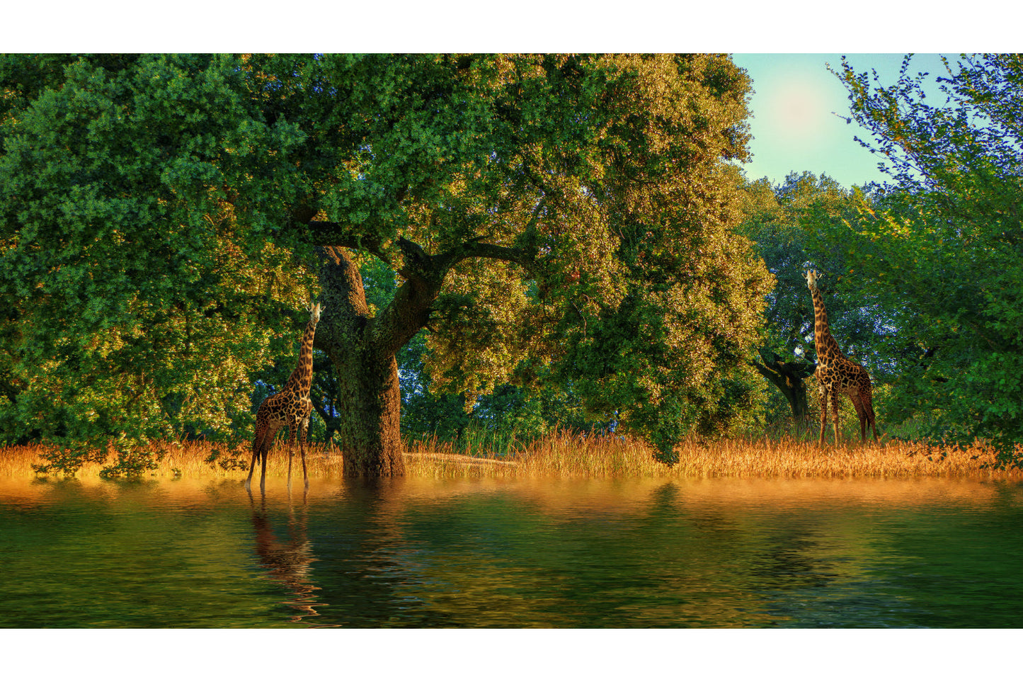 Giraffe Lake Green Trees Forest Canvas Art Wall Picture Or Gloss Print