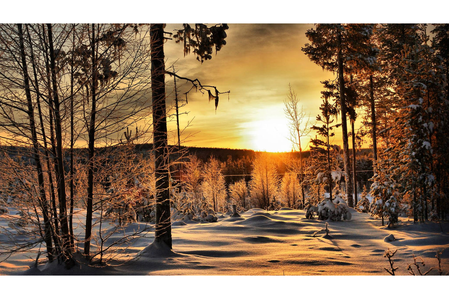 Golden Winter Sunset Snow Trees Landscape Canvas Art Wall Picture Or Gloss Print