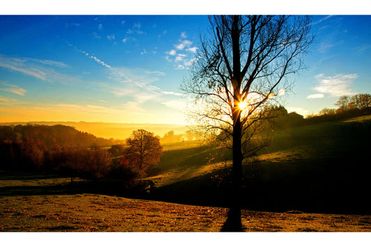 Green Countryside Field Sunset Canvas Art Wall Picture Or Gloss Print