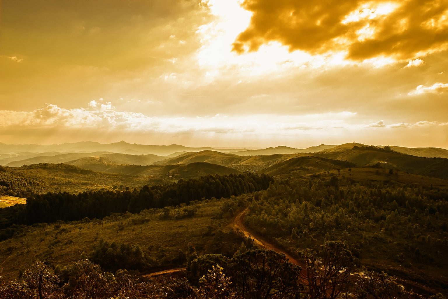 Green Fields Forest Landscape Sunset Canvas Art Wall Picture Or Gloss Print