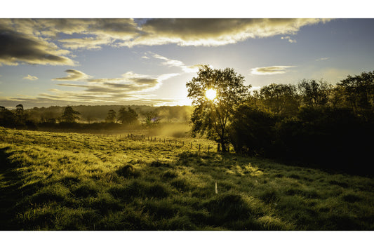 Green Fields Sunset Woods Trees Blue Sky Canvas Art Wall Picture Or Gloss Print