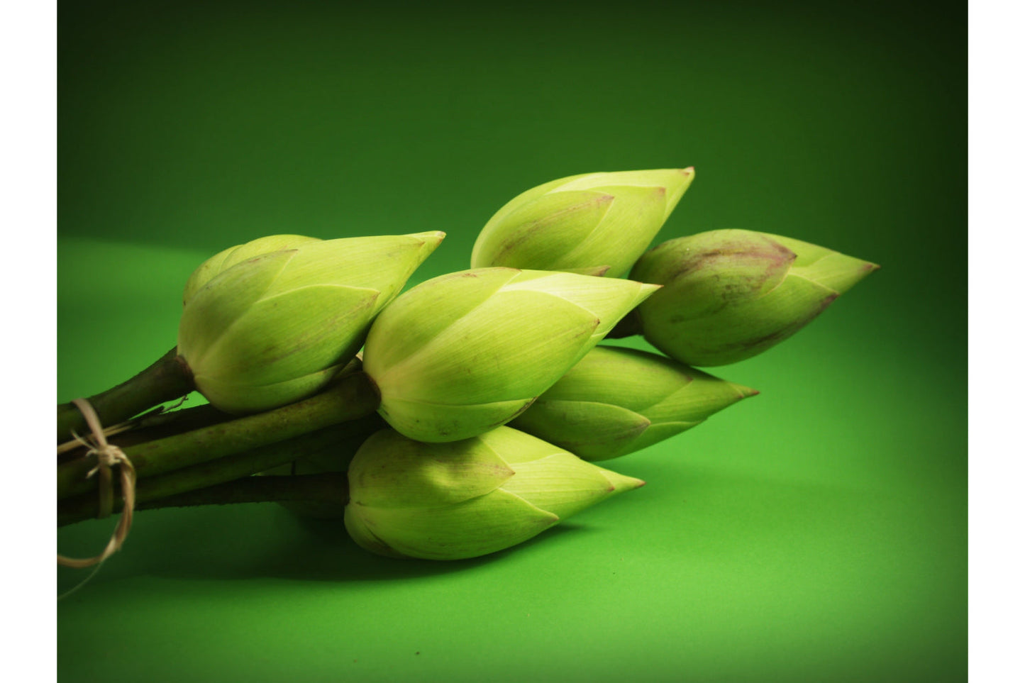 Green Flower Buds Flower Flora Canvas Art Wall Picture Or Gloss Print