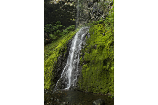 Green Moss Waterfall Landscape Canvas Art Wall Picture Or Gloss Print