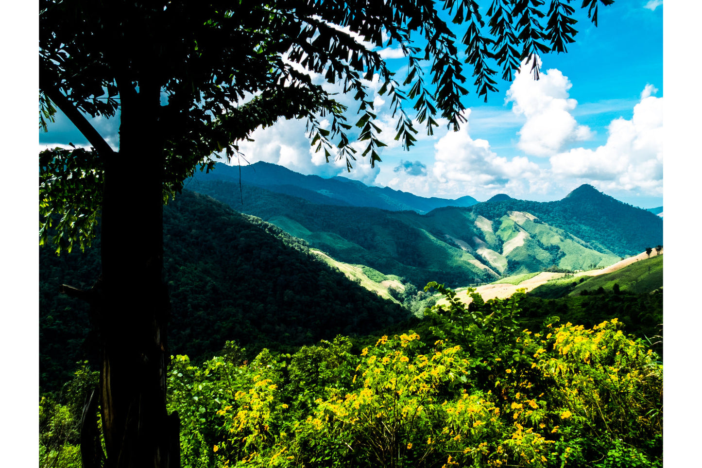 Green Mountain Forest Trees Landscape Canvas Art Wall Picture Or Gloss Print