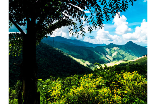 Green Mountain Forest Trees Landscape Canvas Art Wall Picture Or Gloss Print