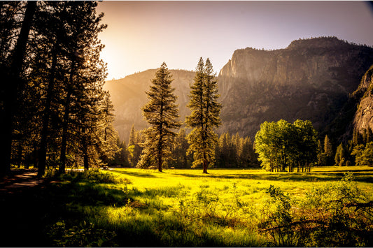 Green Mountains Trees Sunrise Landscape Canvas Art Wall Picture Or Gloss Print