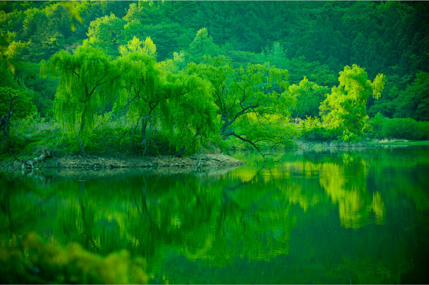 Green Oasis Lake Trees Canvas Art Wall Picture Or Gloss Print