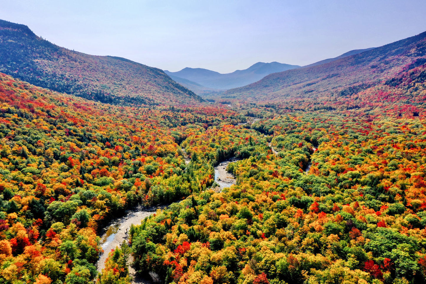 Green Orange Wood Trees Mountain Landscape Canvas Art Wall Picture Or Gloss Print