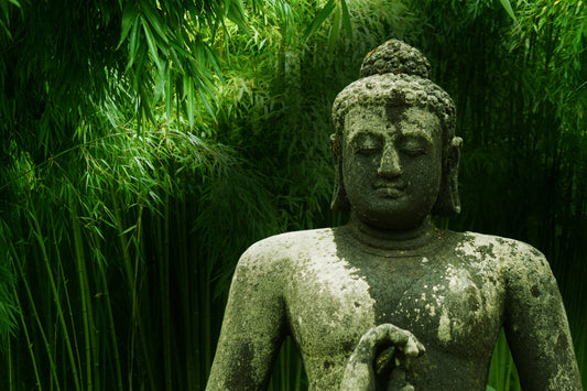 Green Plants Background Buddha Canvas Art Wall Picture