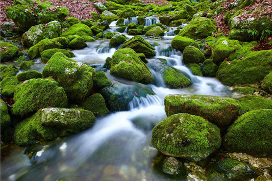 Green Rock Waterfall Landscape Water Canvas Art Wall Picture Or Gloss Print