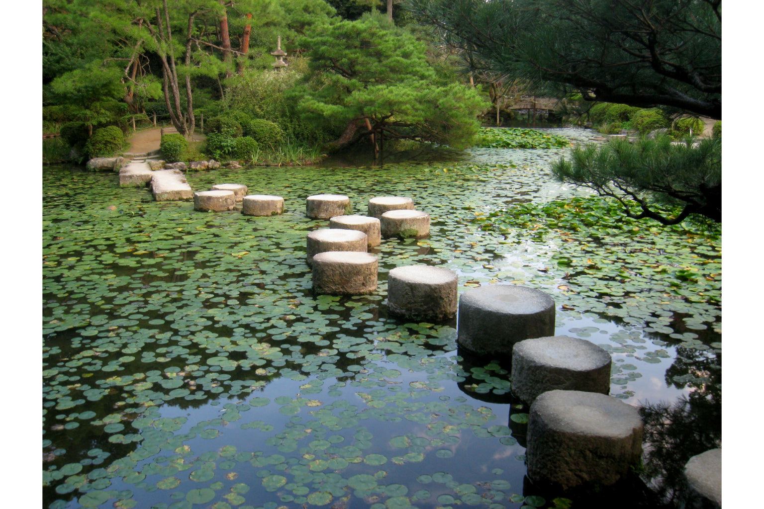 Green Stepping Stone Lake Landscape Canvas Art Wall Picture Or Gloss Print