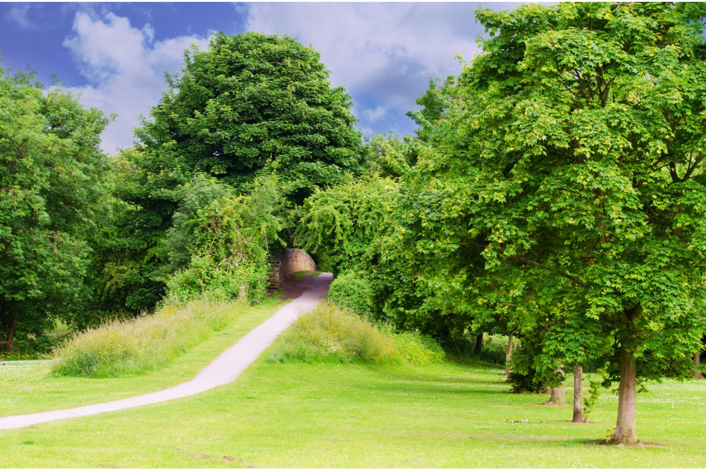 Green Trees Forest Woods Landscape Canvas Art Wall Picture Or Gloss Print