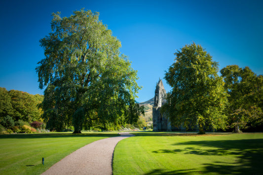 Green Trees Grass Landscape Abbey Canvas Art Wall Picture Or Gloss Print