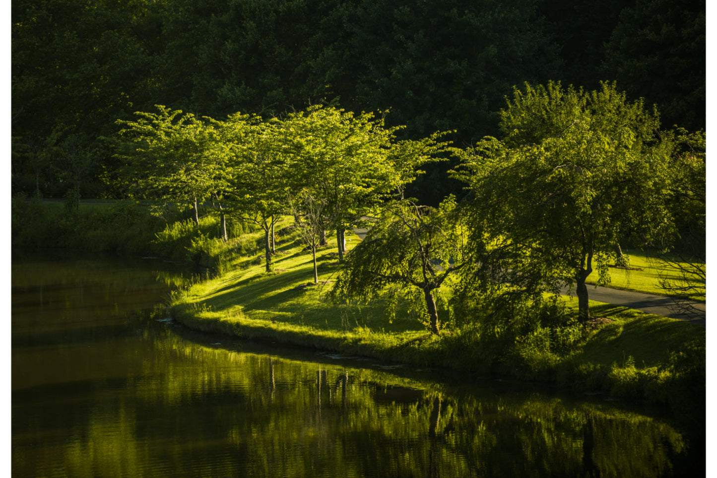 Green Trees Lake Landscape Woods Canvas Art Wall Picture Or Gloss Print